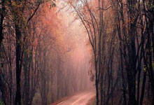 意甲第16輪國際米蘭1-0那不勒斯 哲科寶刀未老 頭球破門一錘定音 國米送那不勒斯賽季首敗!.