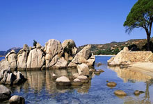 Judd Trump卓林普落戶香港 願夥奧蘇利雲 見證港產桌球世一誕生.